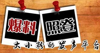 爆料的新闻平台 第2张 爆料的新闻平台 第2张