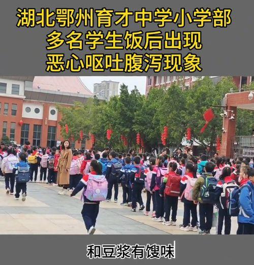 鄂州学生家长爆料新闻,校园安全事件引发社会关注  第2张