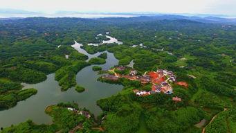 桐乡凤凰湖爆料最新新闻,揭秘湖畔新发现与周边发展盛况 第2张 桐乡凤凰湖爆料最新新闻,揭秘湖畔新发现与周边发展盛况 第2张