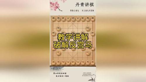 象棋黄丹青爆料视频,独家爆料视频深度解析