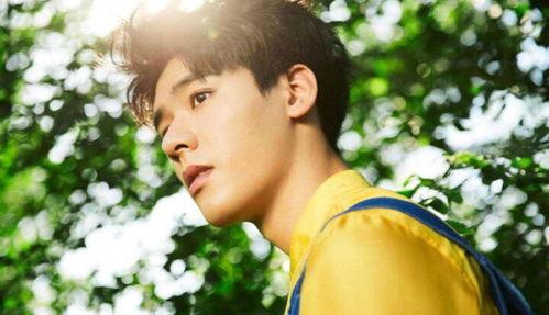 娱乐大爆料吴磊胡歌,兄弟情深,幕后故事揭秘 第2张 娱乐大爆料吴磊胡歌,兄弟情深,幕后故事揭秘 第2张