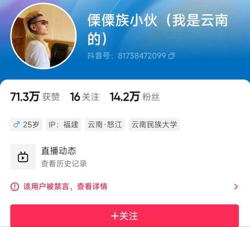 自媒体视频爆料网站推荐,揭秘幕后真相与热门事件  第2张