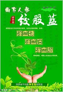 小草神最新爆料图片大全,图片大全揭秘神秘面纱  第3张