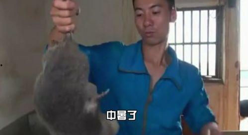 淮南大光头爆料视频最新,惊人内幕曝光 第3张 淮南大光头爆料视频最新,惊人内幕曝光 第3张