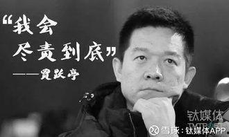 贾跃亭最新爆料,揭秘乐视帝国兴衰背后的真相  第3张