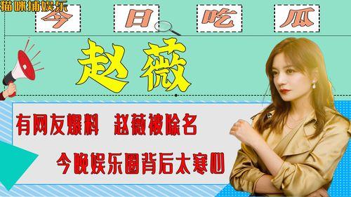 娱乐圈今天爆料什么